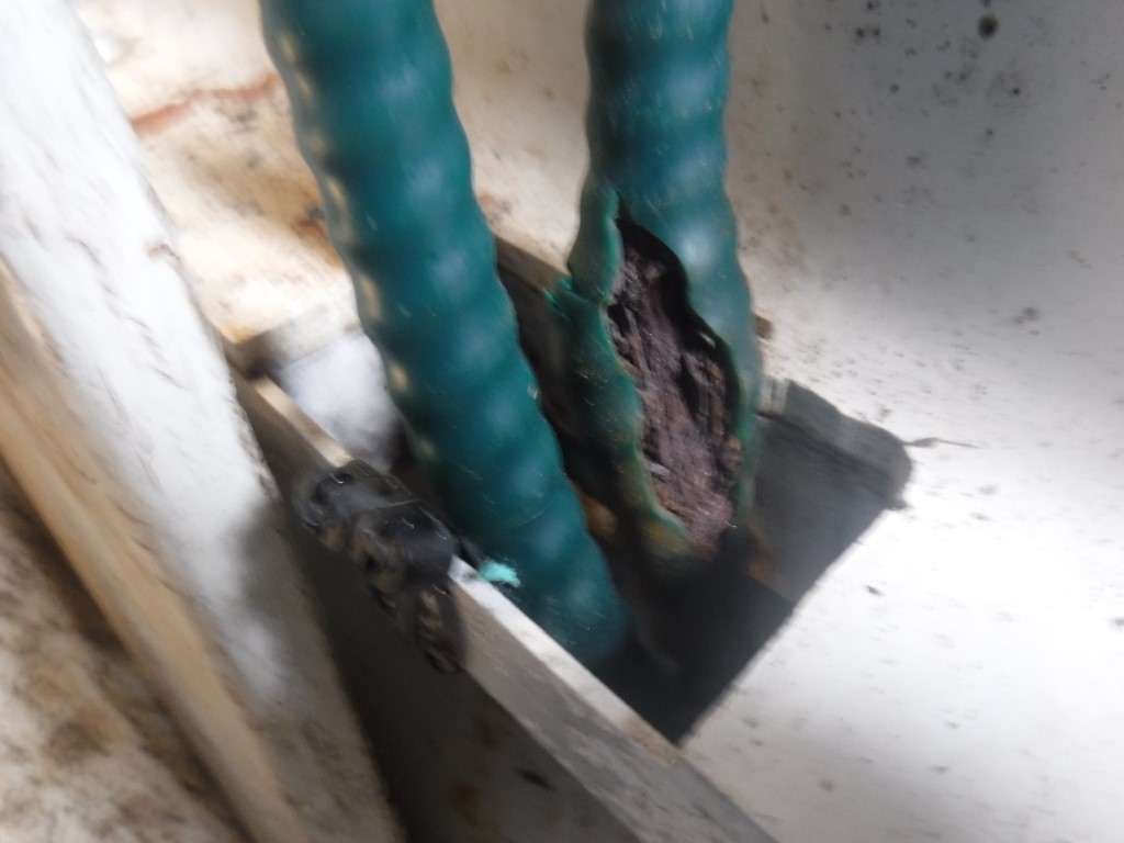 Photo of damage to the aft hook control cable in Lifeboat No. 6 (Credit: Palfinger Marine, taken June 6, 2019) Photo of damage to the aft hook control cable in Lifeboat No. 6 (Credit: Palfinger Marine, taken June 6, 2019)